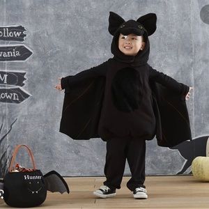 Pottery Barn Kids BAT Costume Size 4-6 Years